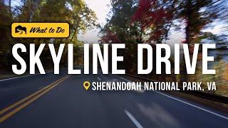 Explore Skyline Drive and Skyland Resort in Shenandoah National Park  Get Out of Town