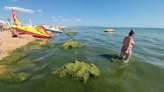 #АНАПА ШОК - ЗАПРЕТИЛИ АФРИКАНЦАМ УБИРАТЬ МЕРЗКИ ВОДОРОСЛИ из МОРЯ...