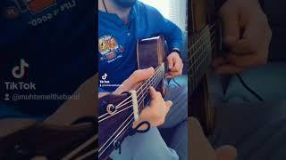 Muhtemel - Pink Panther Intro Acoustic Guitar #pinkpanther #musician #music #singer #artist #guitar