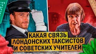 Феномен Гиппокампа Таксистов Что Это? Как Физически Меняется Мозг во Время Обучения до и после