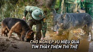 Hiện trường Làng Nủ Chó nghiệp vụ phát huy hiệu quả tìm thấy thêm thi thể