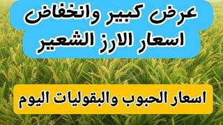 اسعار الارز الشعير اليوم اسعار الارز الابيض ومخلفات الارز واسعار الذرة والصويا اليوم