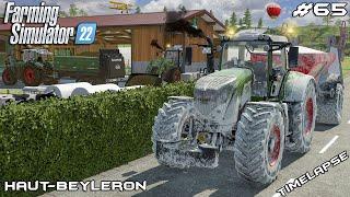 Spreading MANURE and LIME with FENDTs  Animals on Haut-Beyleron  Farming Simulator 22  Episode 65