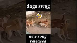 kutta song