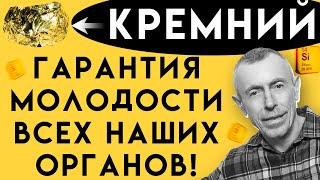 КРЕМНИЙ - Гарантия Молодости Наших Костей Мышц и Других Органов