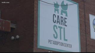 Care STL shelter needs people to adopt and foster animals