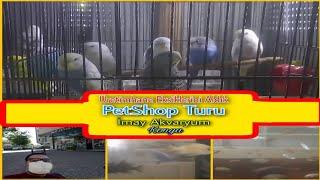 Petshop Alışverişi Üretimhane Eksiklerini Alıyoruz