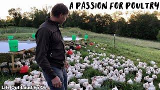 A Passion for Poultry  Regenerative Chicken Farming  Life Out Loud Ep 16