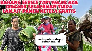 BARANG SEPELE TAPI WAJIB ADA DIACARA SELAPAN TIARA NANTI LANJUT PANEN SINGKONG GRATIS