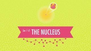 The Nucleus Crash Course Chemistry #1