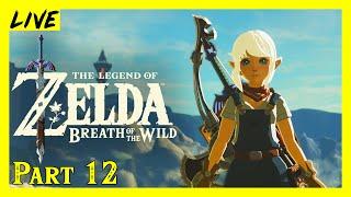 Breath of the Wild Chill Out Playthrough Part 12