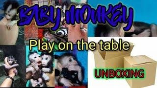 baby monkey paly on the table