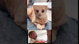 MAU JADI SUPER-CAT  #lucu #funny #memes #ngakakkocak #funnyvideo