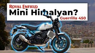 Mini Himalayan or Guerrilla 450?  Walkaround #royalenfield #guerrilla450