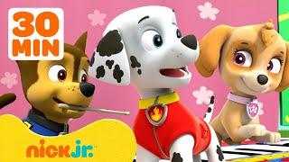 PAW Patrol Teamwork Rescues & Adventures w Chase and Skye  30 Minute Compilation  Nick Jr.