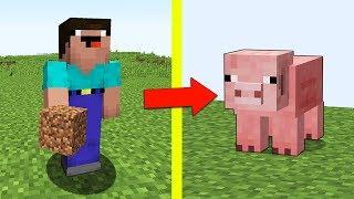 НУБ НИНДЗЯ ПРЕВРАТИЛСЯ В СВИНЬЮ МАЙНКРАФТ  НУБ ПРОТИВ ТРОЛЛИНГ ЛОВУШКА MINECRAFT ПРЯТКИ Мультик