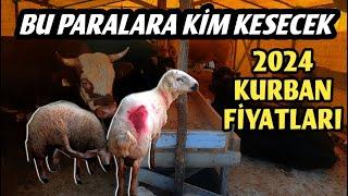 2024 KURBANLIK FİYATLARI  Ankara Bağlum Büyükbaş ve Küçükbaş Kurban Fiyatları