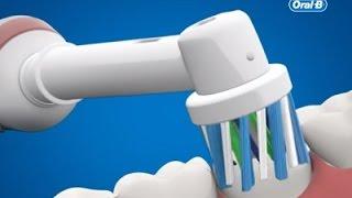 Oral-B Doğru ve Etkin Diş Fırçalama