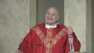 Homily of Father Carlos Martins - St. Jude Thaddeus