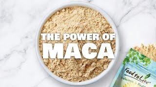 The Power of MACA Ways to Use Maca Powder