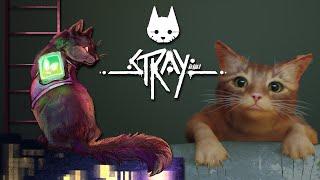 Weve Made a Fatal Mistake  Stray • #1