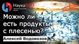 Можно ли есть продукты с плесенью? – Алексей Водовозов  Лекции по медицине  Научпоп