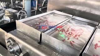 Small automatic konjac pearls machine agar crystal balls making machine