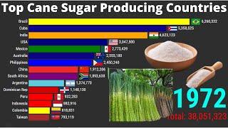 Top sugar cane producing Countries in the World  Largest Sugar Cane Producer Country 1960-2020