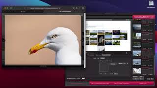 maGalleryCreator 3  How to create photo galleries?