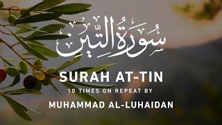 Surah At Tin  - 10 Times On Repeat  Muhammad Al-Luhaidan  Beautiful Voice Saudi Arabian Qari