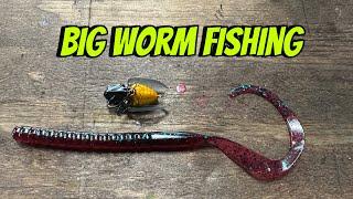 How To Rig And Fish A BIG Plastic Worm For Summer Bass…