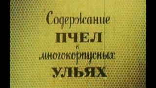 Содержание пчёл в многокорпусных ульях  Фильм СССР