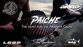 Paiche - The Hunt for the Arapaima Gigas