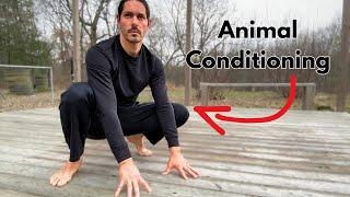 Animal Conditioning for Martial Arts