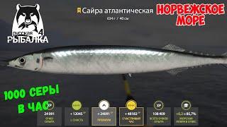 1100 СЕРЫ В ЧАС НА 34 БАНКЕ НА НОРВЕЖСКОМ МОРЕ В РУССКОЙ РЫБАЛКЕ 4 РР4