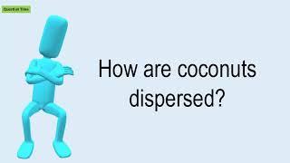 How Are Coconuts Dispersed?