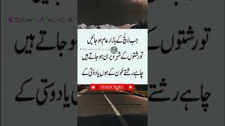 Urdu Quotes  About life #roshnology #viralshort #youtubeshorts #islamicvideo #inspirationalquotes