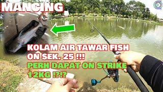 MANCING 1  KOLAM AIR TAWAR FISH ON  STRIKE 12kg ??  TRY PATI MUGARABAS   HAMPIR KUMPAU 