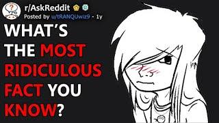 Whats The Most Ridiculous Fact You Know? rAskReddit