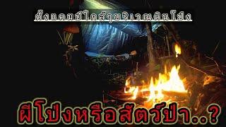 “ ตั้งแคมป์ใกล้ดินโป่งได้ยินเสียงประหลาดในรอบๆแคมป์ทั้งคืน  บุกป่าดิบชื้นเจอรอยเท้าสัตว์ป่า