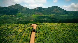 The Therapeutic Fields of Munnar  Kerala