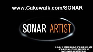 SONAR Artist Overview