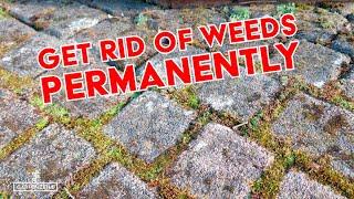 8 tips against weeds in driveways and sidewalks How to get rid of weeds permanently