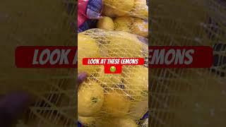 These lemons BIG & Mold  #shorts #viral #trending #fruit