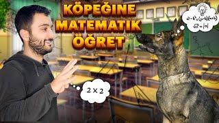 KÖPEĞİNE MATEMATIK ÖGRET ‍