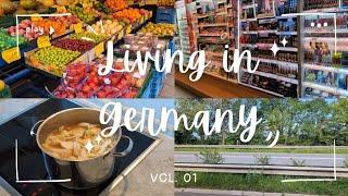 LIVING IN GERMANY  Grocery Shopping Drug Store Haul & Sinigang na Baboy Recipe