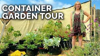 She Learned to Garden in a Cult   Container Garden Tour