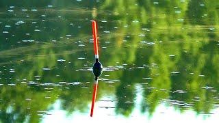 КАРАСИ ЛАПТИ В СТАРОМ ДЕРЕВЕНСКОМ ОЗЕРЕ.ЗАКИНУЛ СЕКРЕТНУЮ КАШУ И ВОТ... ВОДА БУРЛИТ ОТ РЫБЫ.