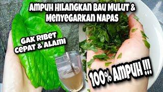 Cara Menghilangkan Bau Mulut Secara Alami ⁉️Napas Segar Seketika  % Terbukti‼️