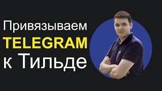 Подключаем TELEGRAM к Тильде получать заявки и лиды с форм в мессенджеры